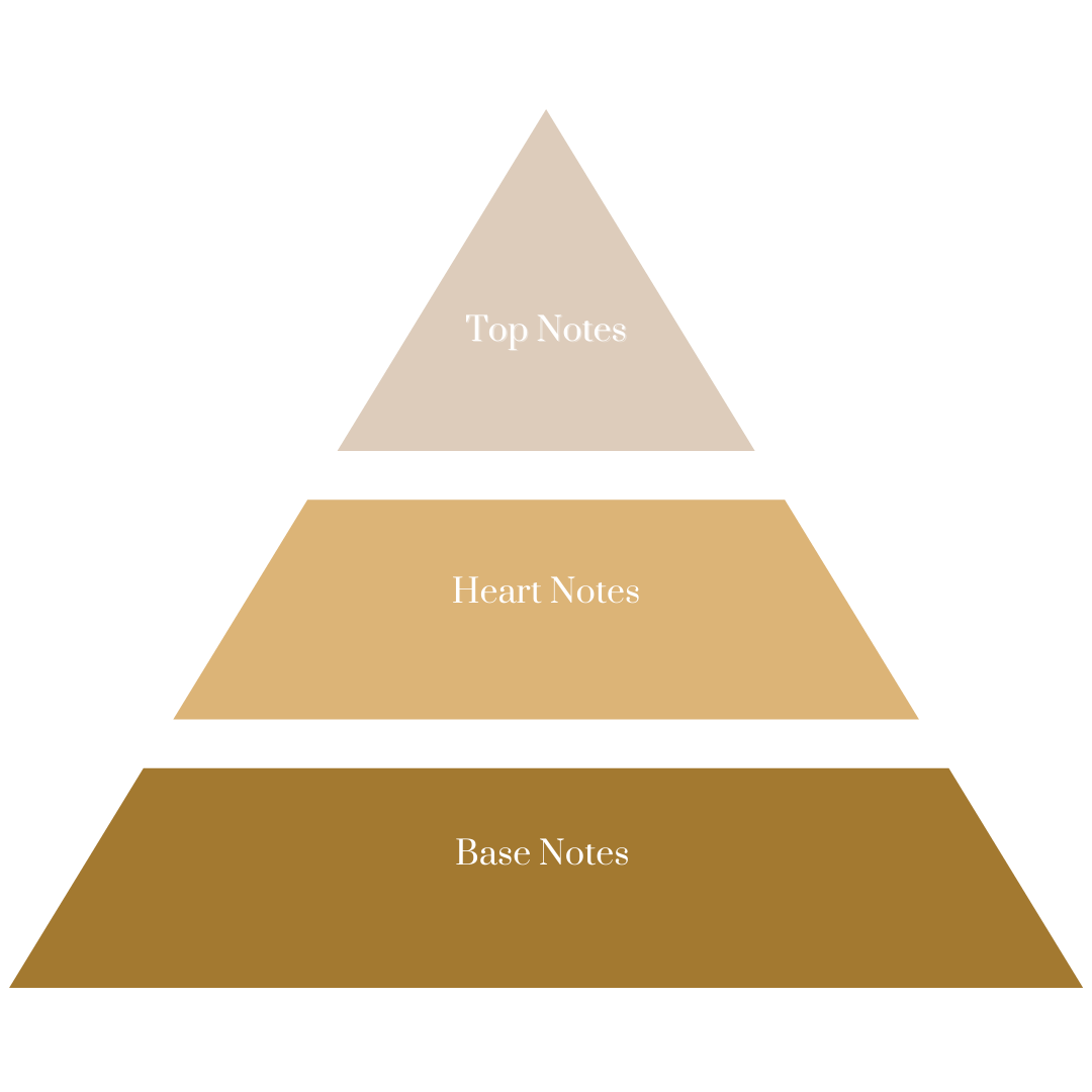 Perfume Notes Hierarchy